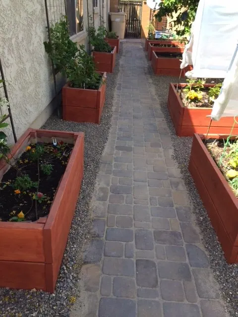 Trusted outdoor landscaping experts serving Surprise, AZ - Eco Landscape