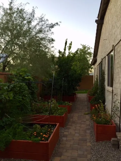 Top-rated landscape design for residential properties across Surprise, AZ - Eco Landscape