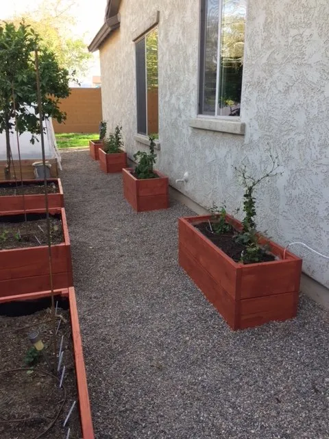 Local yard cleanup service with custom design in Surprise, AZ by Eco Landscape