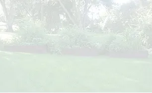 Trusted yard maintenance in Columbus, GA by ECO Landscaping & Design