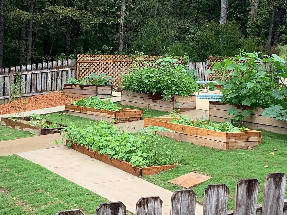 Trusted yard maintenance in Columbus, GA - ECO Landscaping & Design