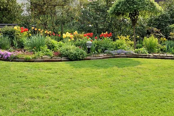 Top-rated lawn mowing service experts serving Damascus, MD - Eco Landscaping & Design