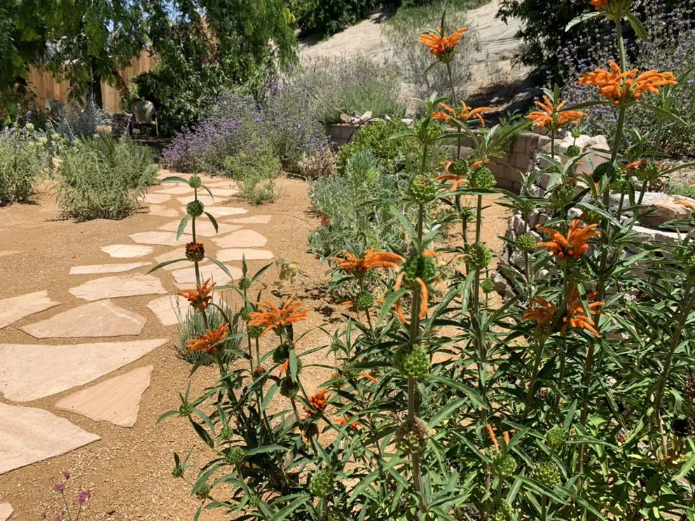 Reliable landscaping services for beautiful yards across Riverside, CA - Eco Landscaping & Design