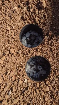 Eco landscaping & Irrigation Logo