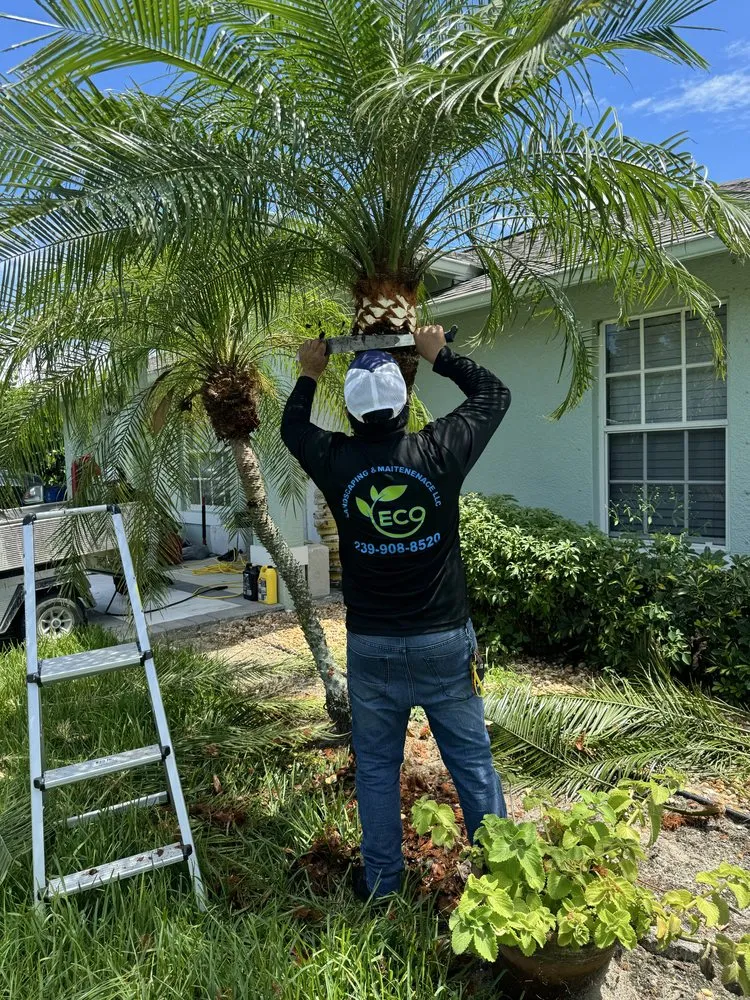 Local residential landscaping for year-round maintenance in Fort Myers, FL by Eco Landscaping & Maintenance