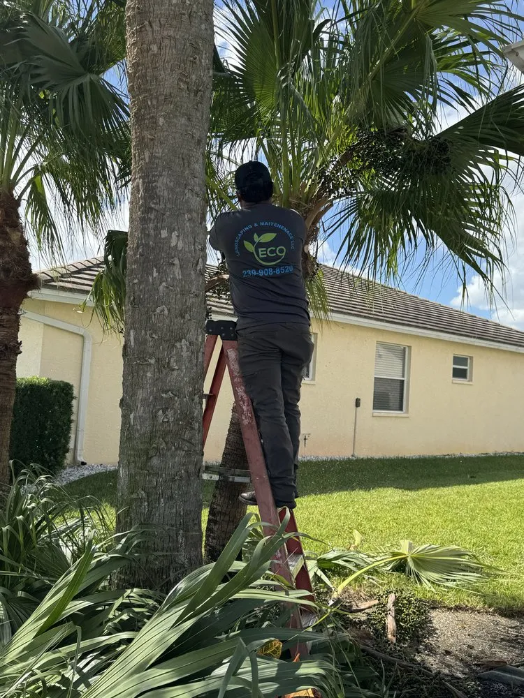 Affordable landscape installation for homes across Fort Myers, FL - Eco Landscaping & Maintenance
