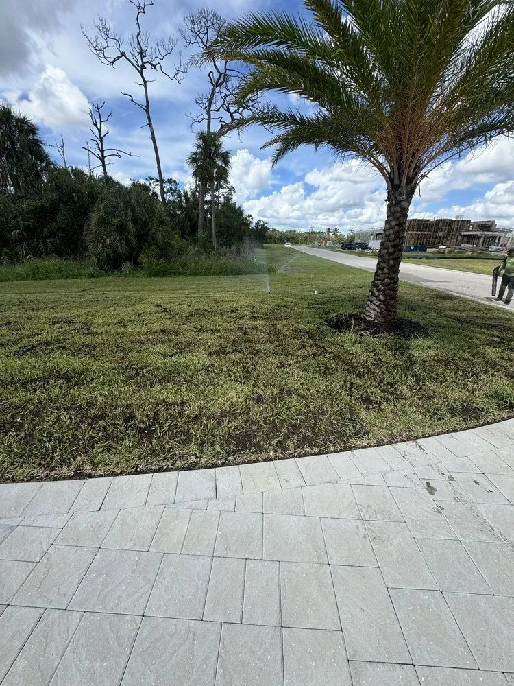 Top-rated yard cleanup service with custom design across Fort Myers, FL - Eco Landscaping & Maintenance