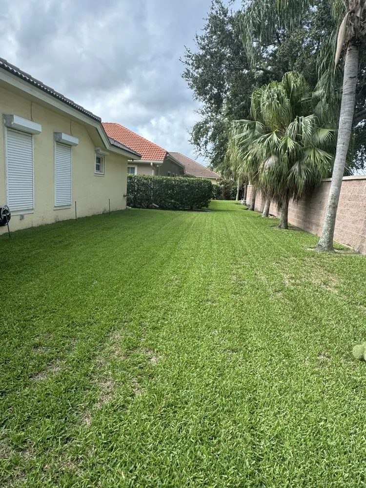 Expert outdoor landscaping for year-round maintenance across Fort Myers, FL - Eco Landscaping & Maintenance