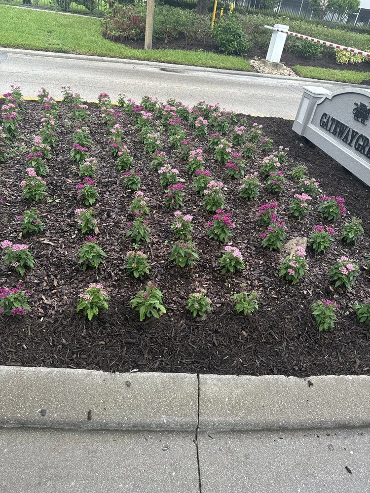 Custom landscaping services in Fort Myers, FL by Eco Landscaping & Maintenance