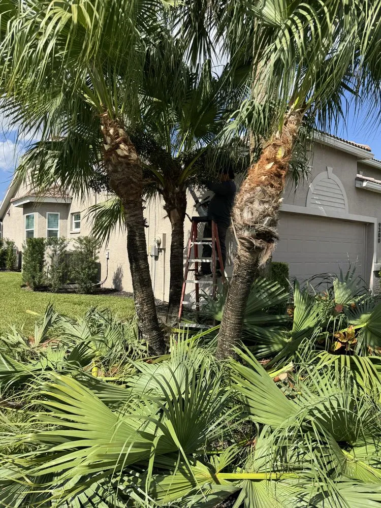 Local landscape design experts serving Fort Myers, FL - Eco Landscaping & Maintenance