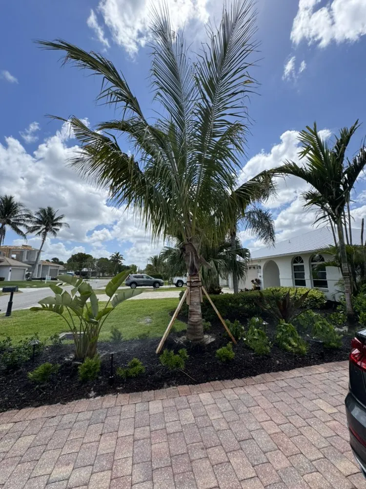 Affordable residential landscaping near you across Fort Myers, FL - Eco Landscaping & Maintenance