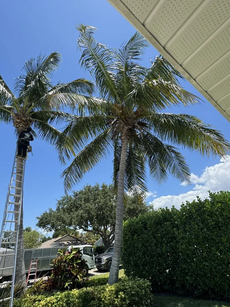 Expert yard cleanup service in Fort Myers, FL by Eco Landscaping & Maintenance