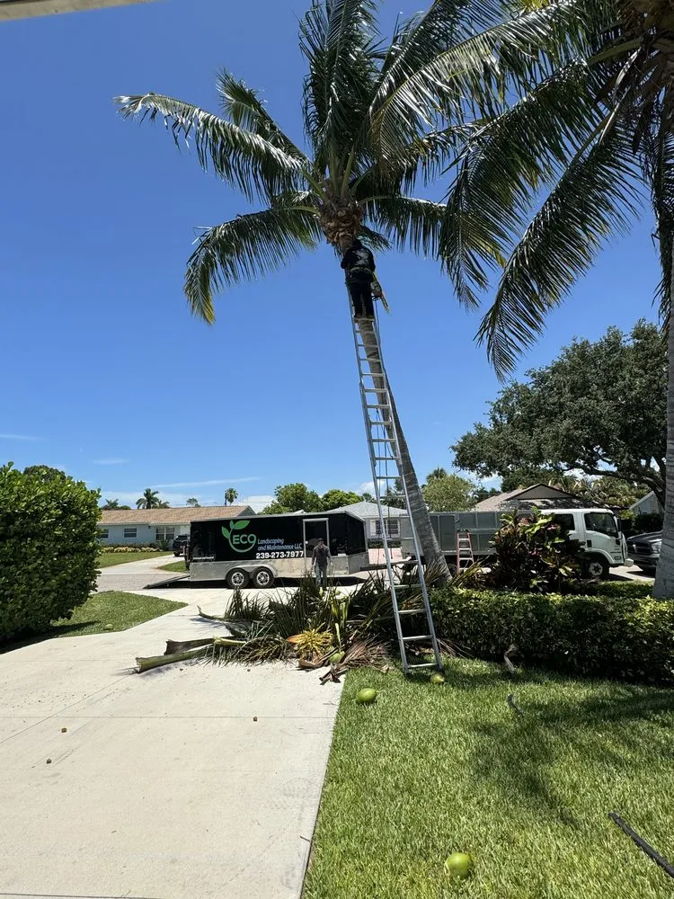 Affordable yard maintenance in Fort Myers, FL - Eco Landscaping & Maintenance