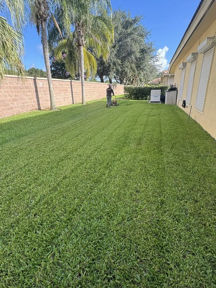 Trusted landscape installation in Fort Myers, FL - Eco Landscaping & Maintenance