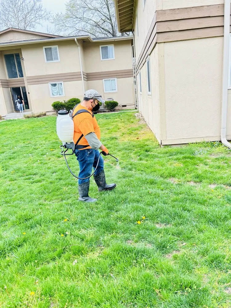 Custom lawn mowing service near you across Independence, MO - Eco Landscaping