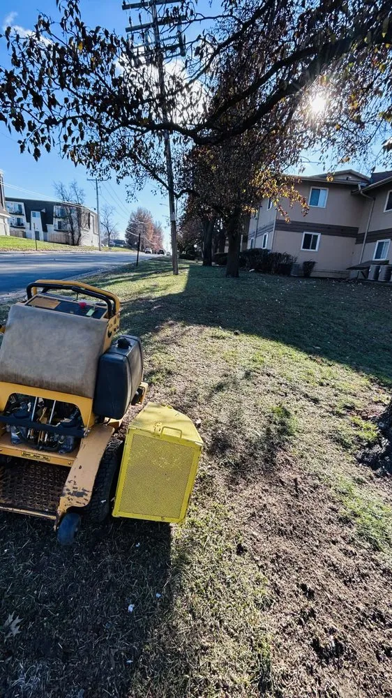 Expert landscape design for year-round maintenance across Independence, MO - Eco Landscaping