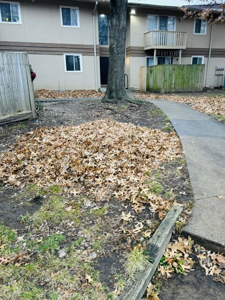 Professional outdoor landscaping experts serving Independence, MO - Eco Landscaping