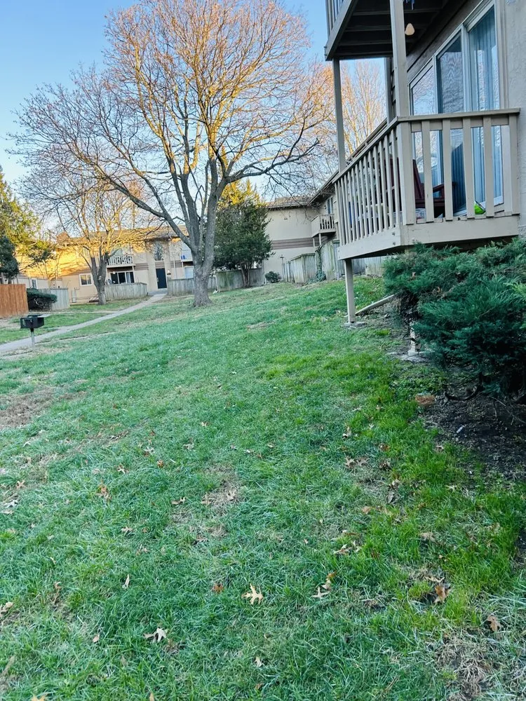 Expert yard maintenance for year-round maintenance across Independence, MO - Eco Landscaping