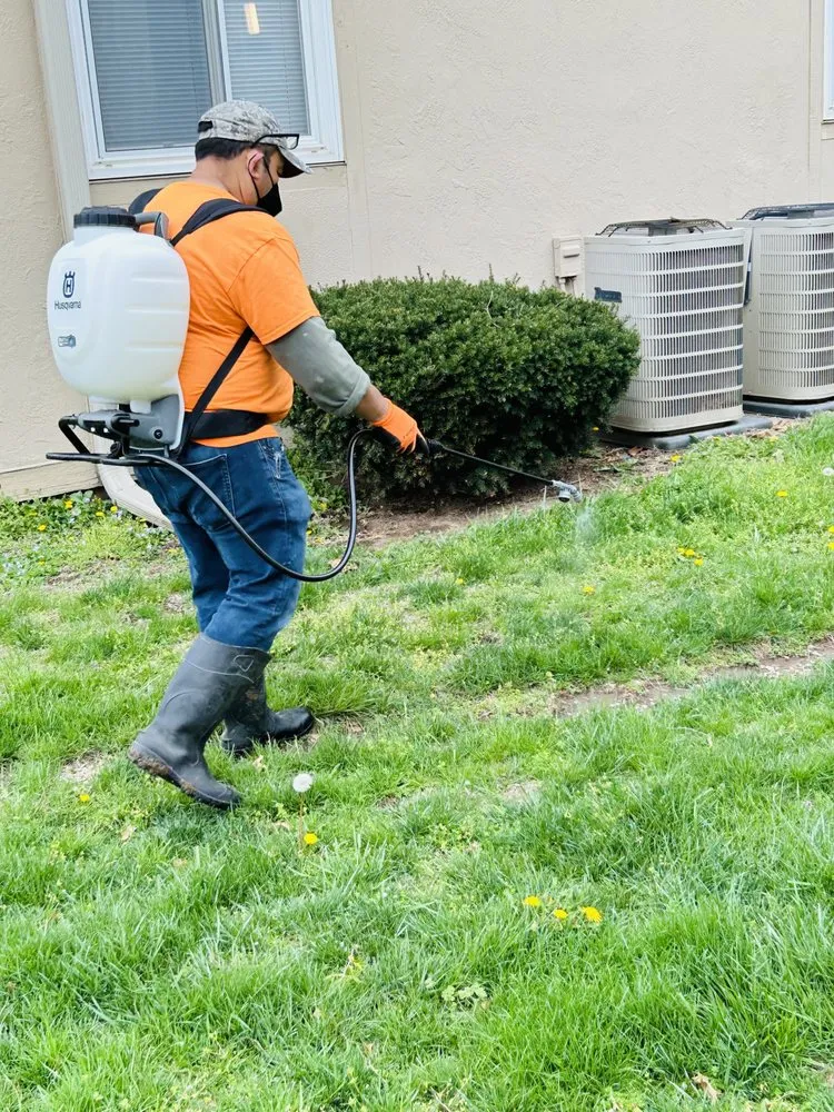 Affordable yard maintenance for beautiful yards across Independence, MO - Eco Landscaping