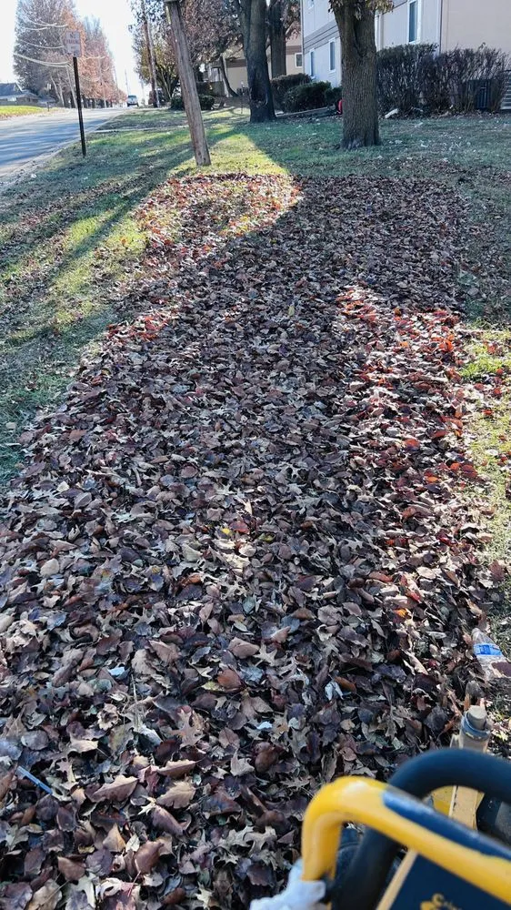 Top-rated garden landscaping in Independence, MO - Eco Landscaping