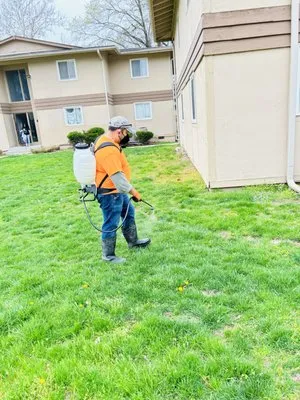 Eco Landscaping Logo