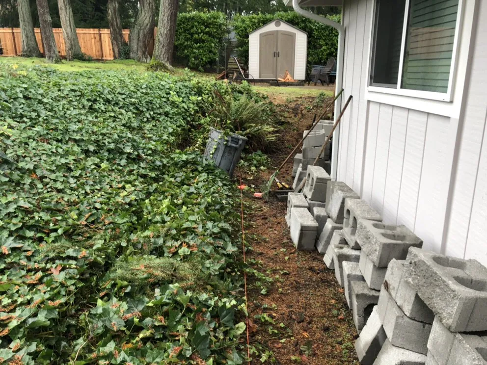 Affordable yard maintenance for residential properties in Tacoma, WA by ECO Landscaping