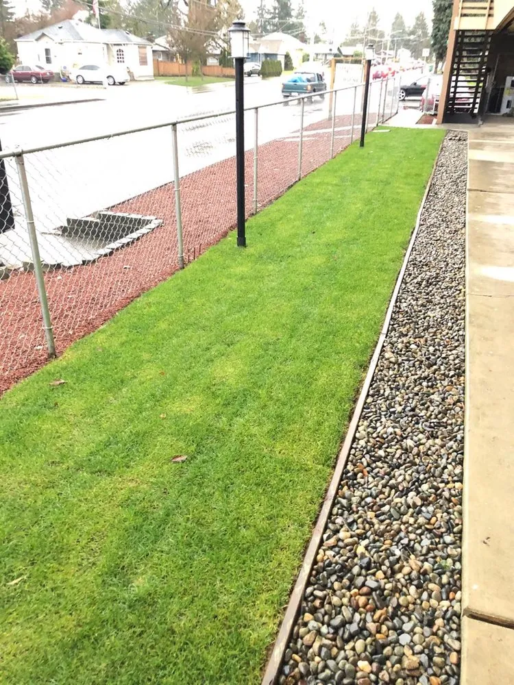 Trusted yard cleanup service in Tacoma, WA by ECO Landscaping