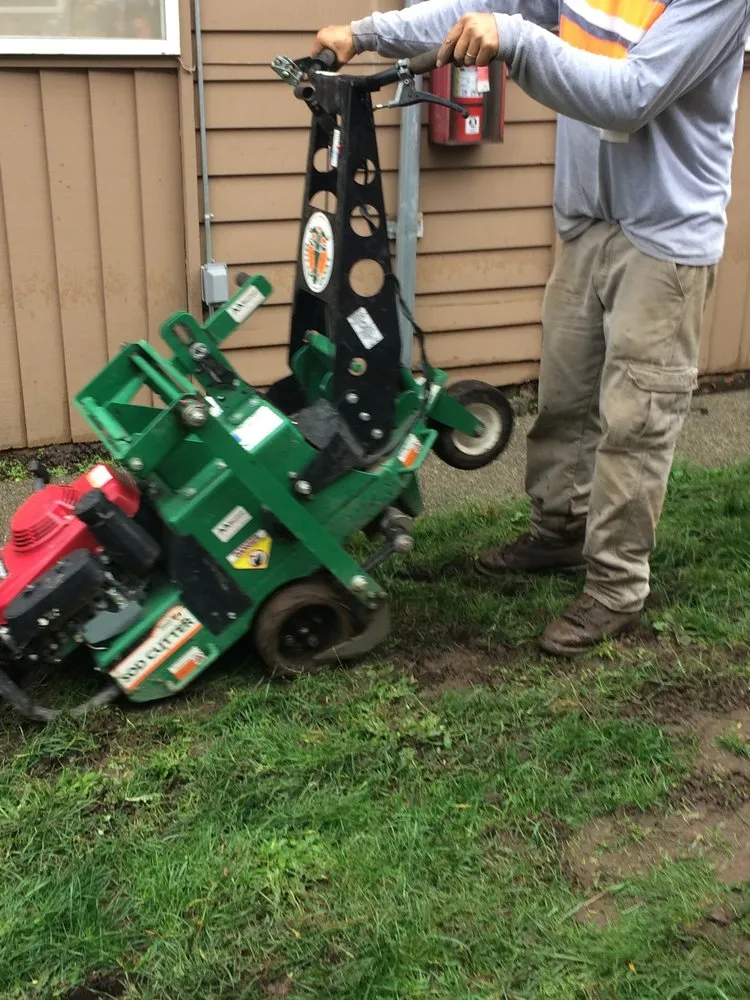 Professional yard cleanup service for year-round maintenance in Tacoma, WA by ECO Landscaping