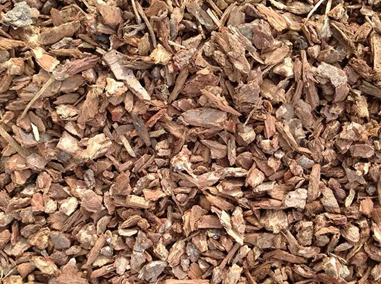 Top-rated lawn mowing service in Tacoma, WA - ECO Landscaping