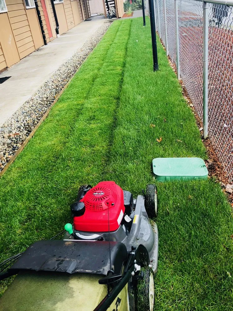 Trusted lawn care service experts serving Tacoma, WA - ECO Landscaping