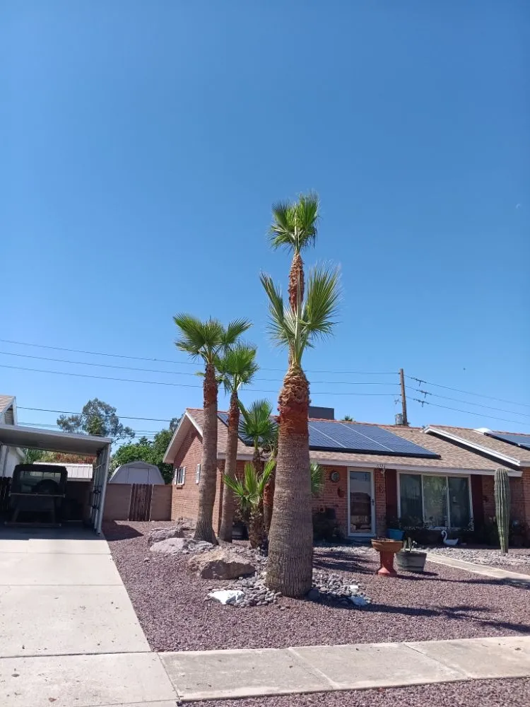 Expert outdoor landscaping in Tucson, AZ by Eco-Landscaping