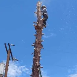 Professional lawn mowing service in Tucson, AZ by Eco-Landscaping