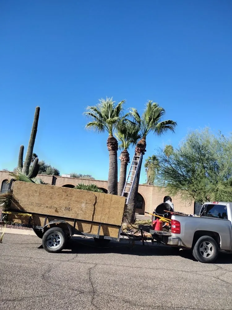 Reliable residential landscaping experts serving Tucson, AZ - Eco-Landscaping