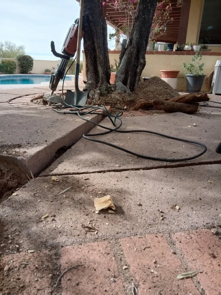 Expert lawn care service for residential properties in Tucson, AZ by Eco-Landscaping