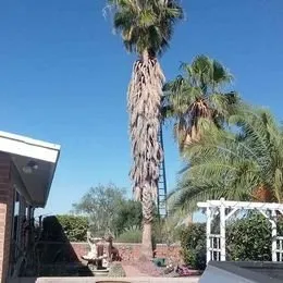 Custom residential landscaping in Tucson, AZ by Eco-Landscaping