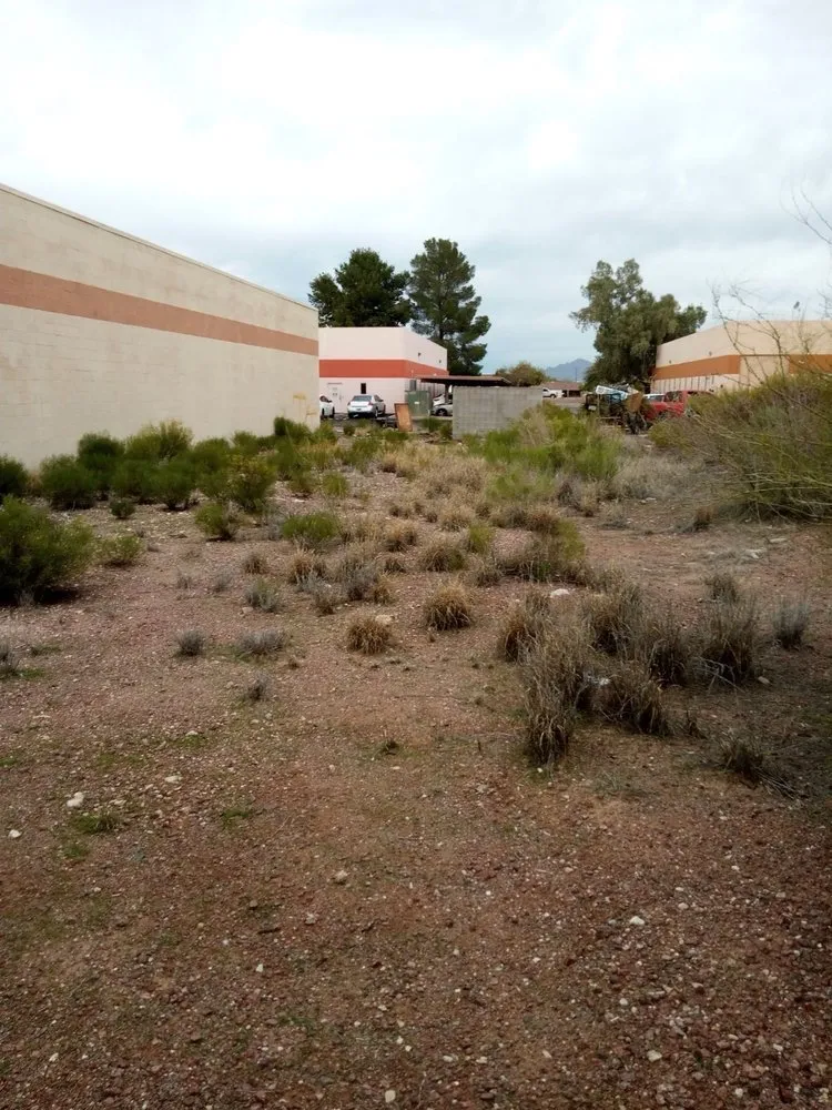 Expert landscape design experts serving Tucson, AZ - Eco-Landscaping