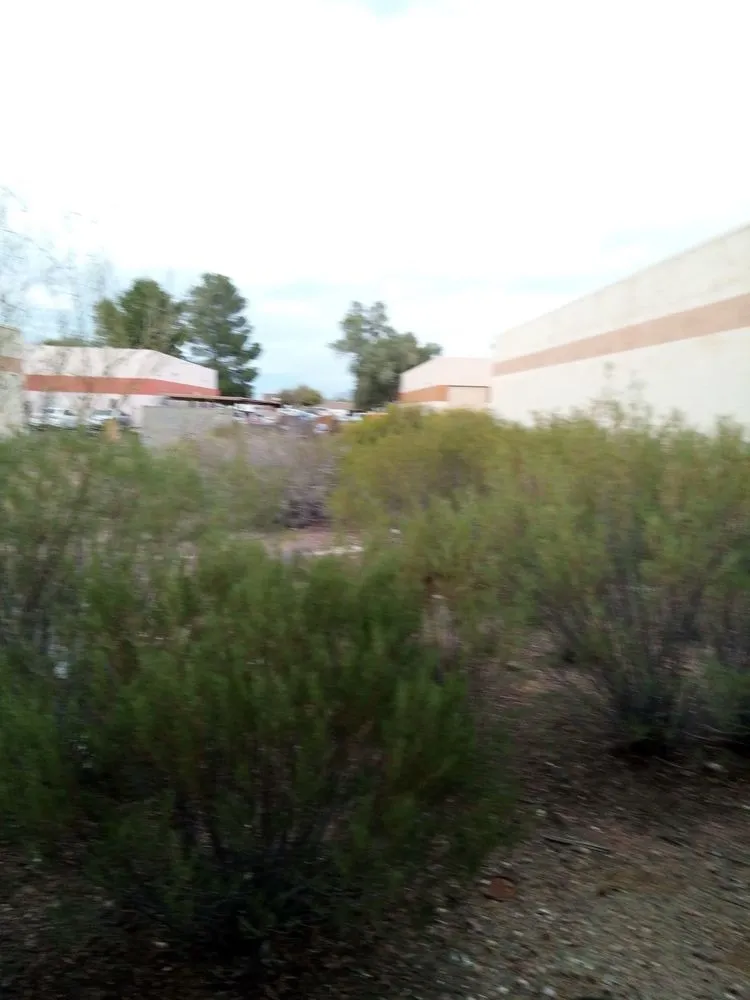 Reliable garden landscaping in Tucson, AZ - Eco-Landscaping