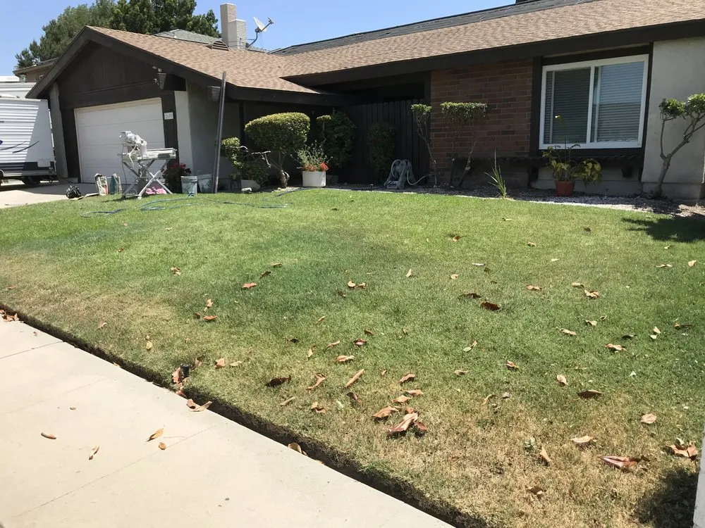 Professional yard maintenance for outdoor upgrades across Simi Valley, CA - Eco Landworks
