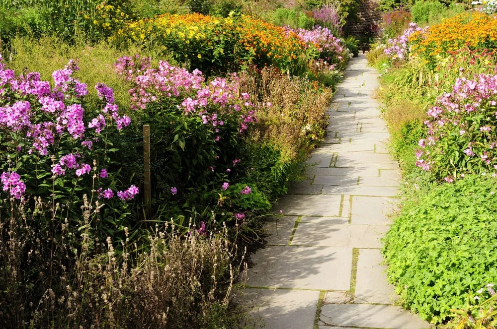 Reliable yard maintenance for homes across Santa Barbara, CA - Eco Lawn and Garden