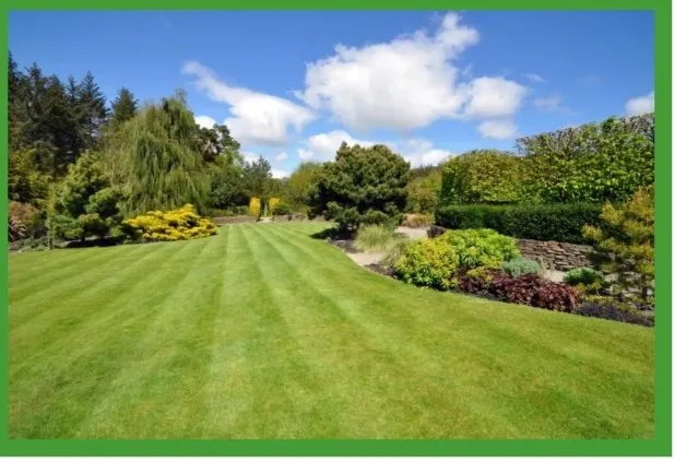 Affordable residential landscaping in Spokane, WA by ECO Lawn and Tree Care Services