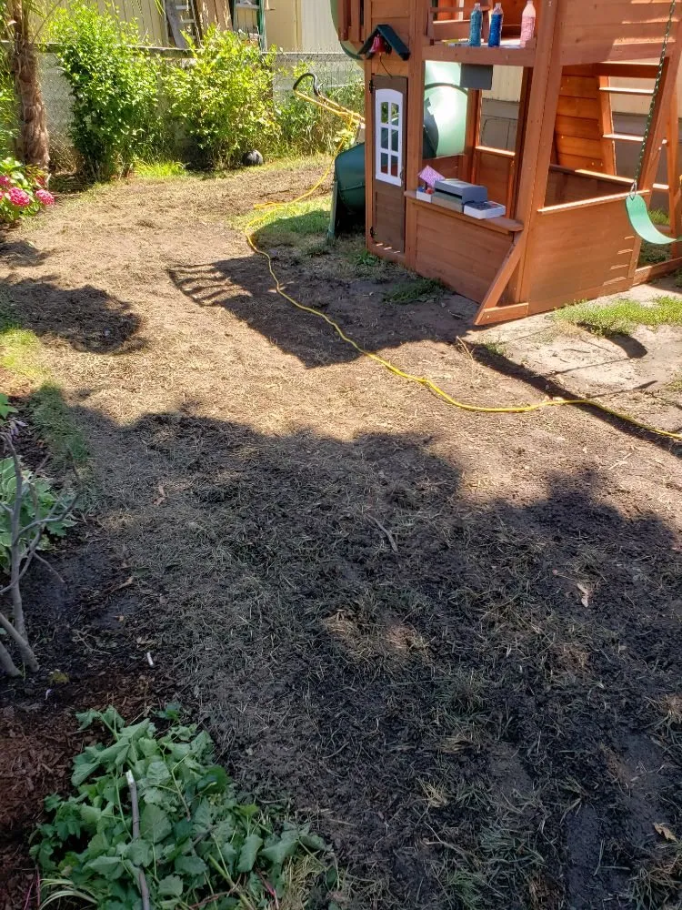 Expert lawn care service near you across Forest Grove, OR - Eco Lawn Care