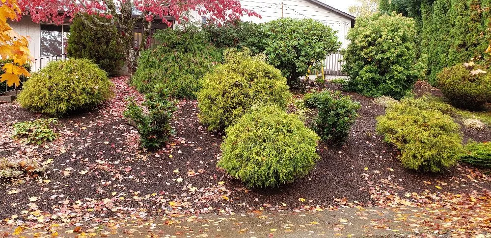 Local residential landscaping experts serving Forest Grove, OR - Eco Lawn Care