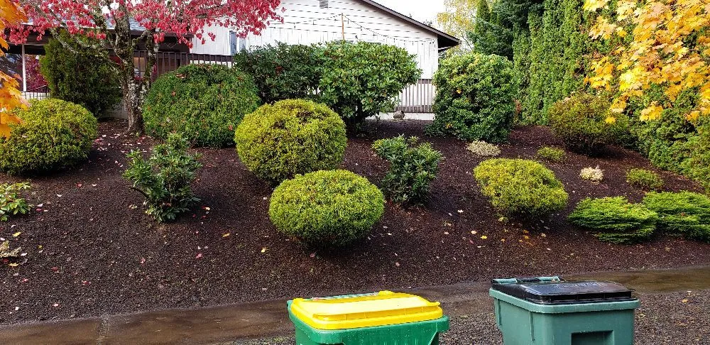 Local lawn care service in Forest Grove, OR by Eco Lawn Care