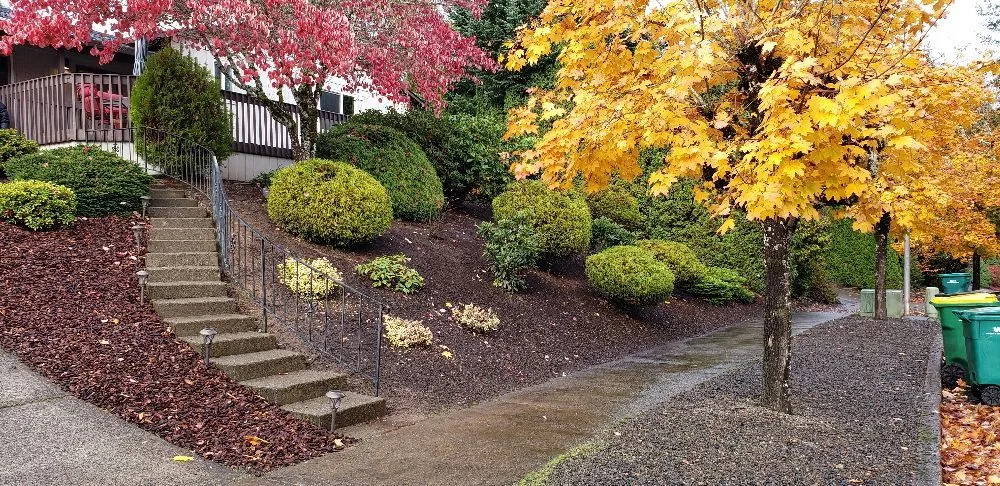 Local lawn mowing service experts serving Forest Grove, OR - Eco Lawn Care