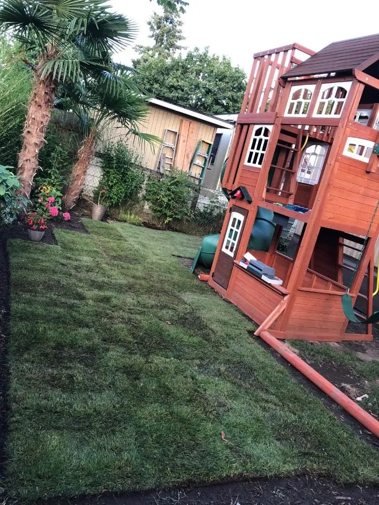 Reliable landscape installation for homes across Forest Grove, OR - Eco Lawn Care