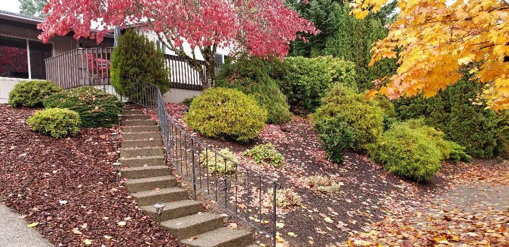 Custom lawn mowing service for year-round maintenance in Forest Grove, OR by Eco Lawn Care