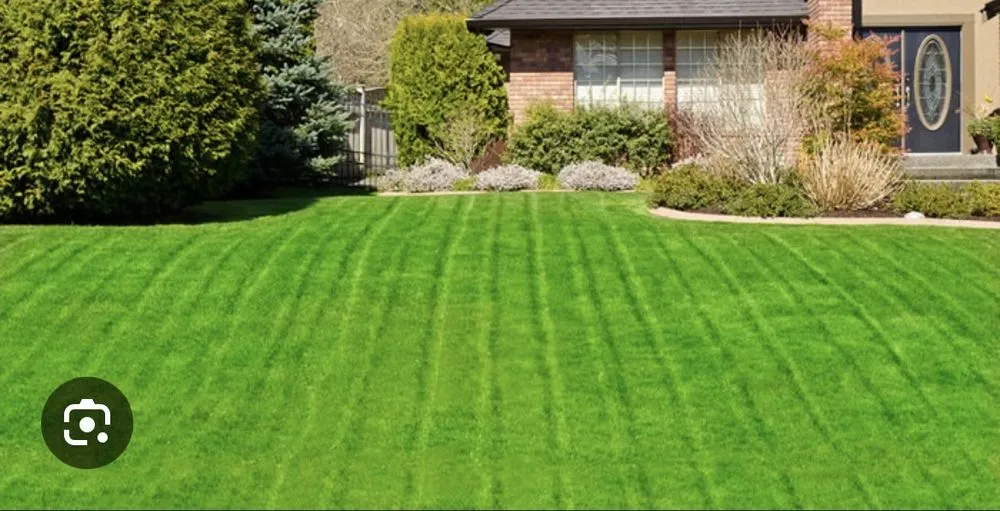 Top-rated landscape design for year-round maintenance in Johns Creek, GA by Eco Lawn Care