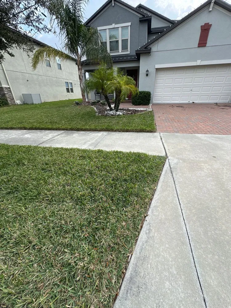 Custom lawn care service in Tampa, FL - Eco Lawn of Tampa