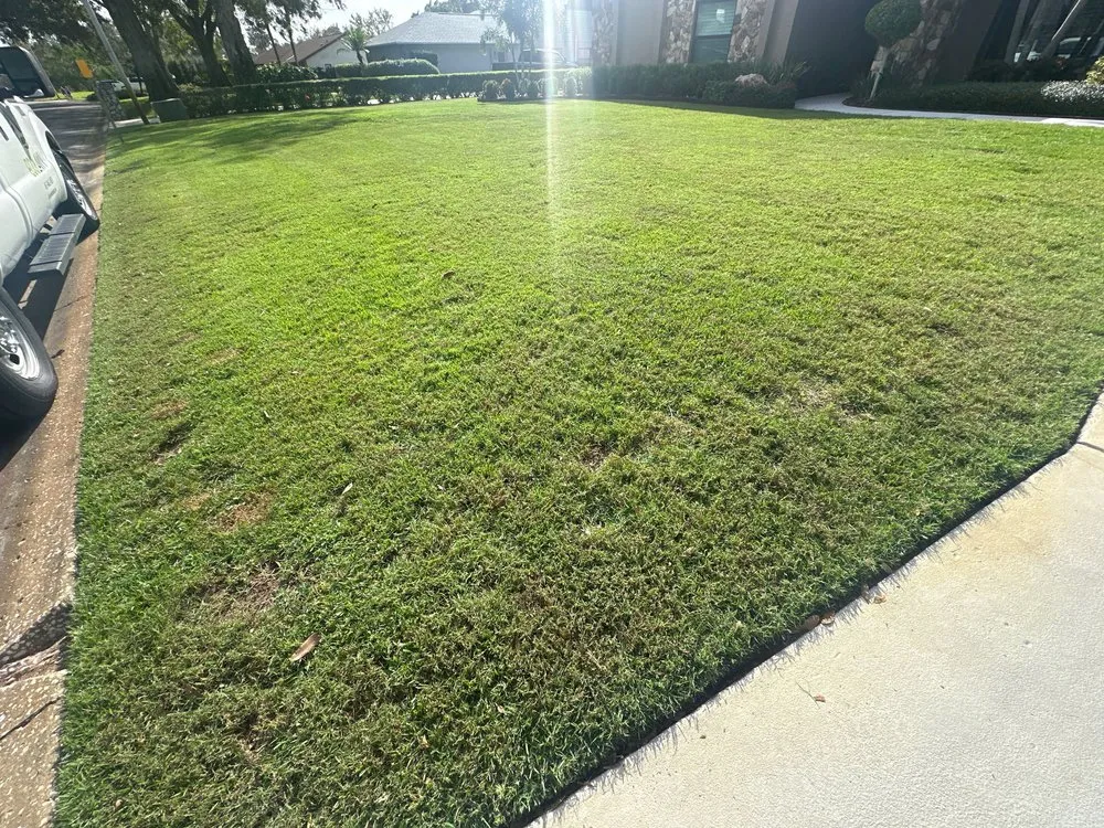 Local garden landscaping experts serving Tampa, FL - Eco Lawn of Tampa