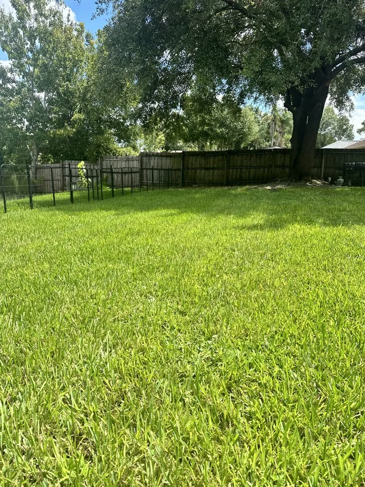 Local lawn care service in Tampa, FL - Eco Lawn of Tampa